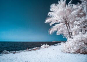 Hidden Paradise